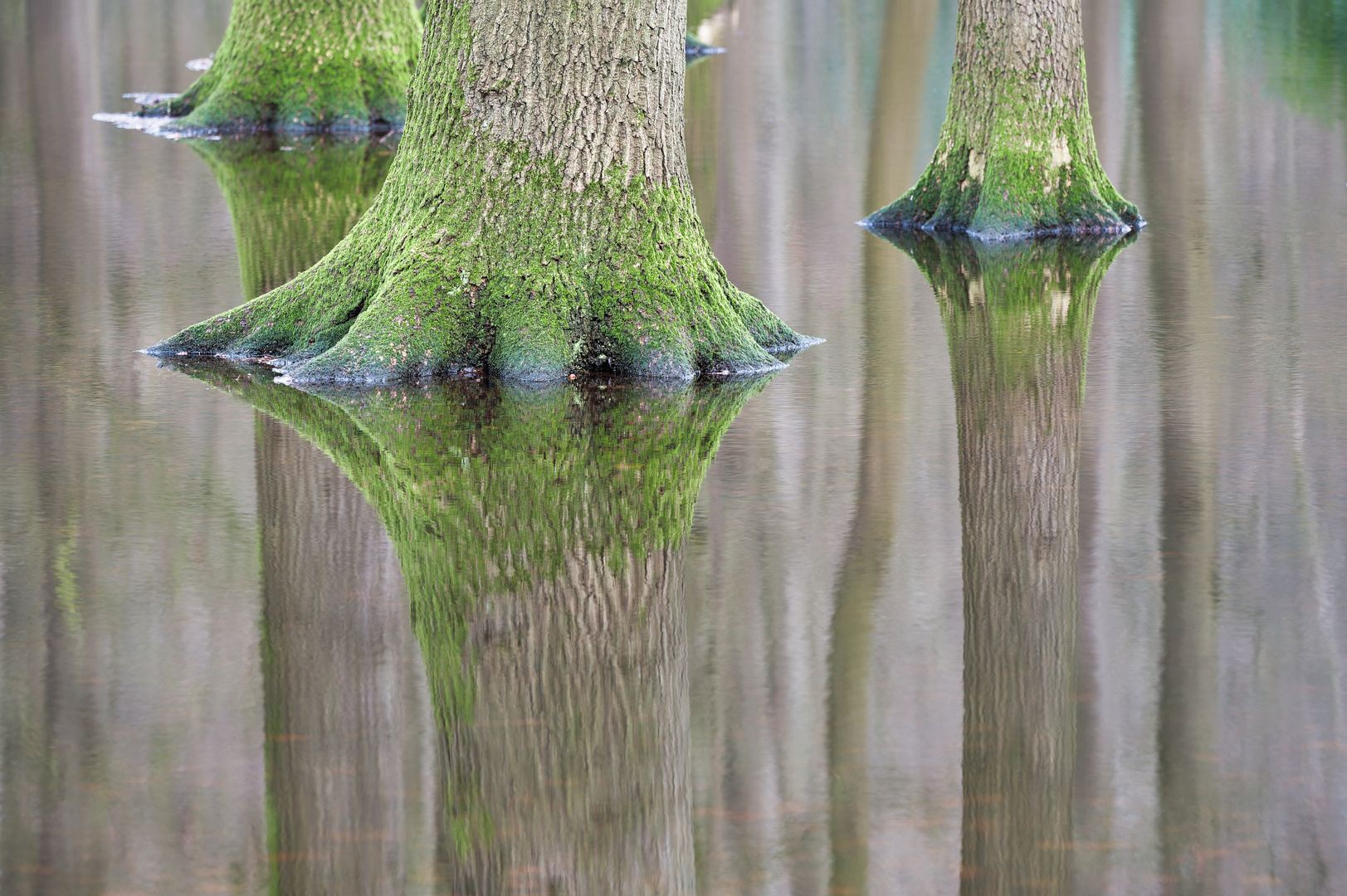 Spiegelungen