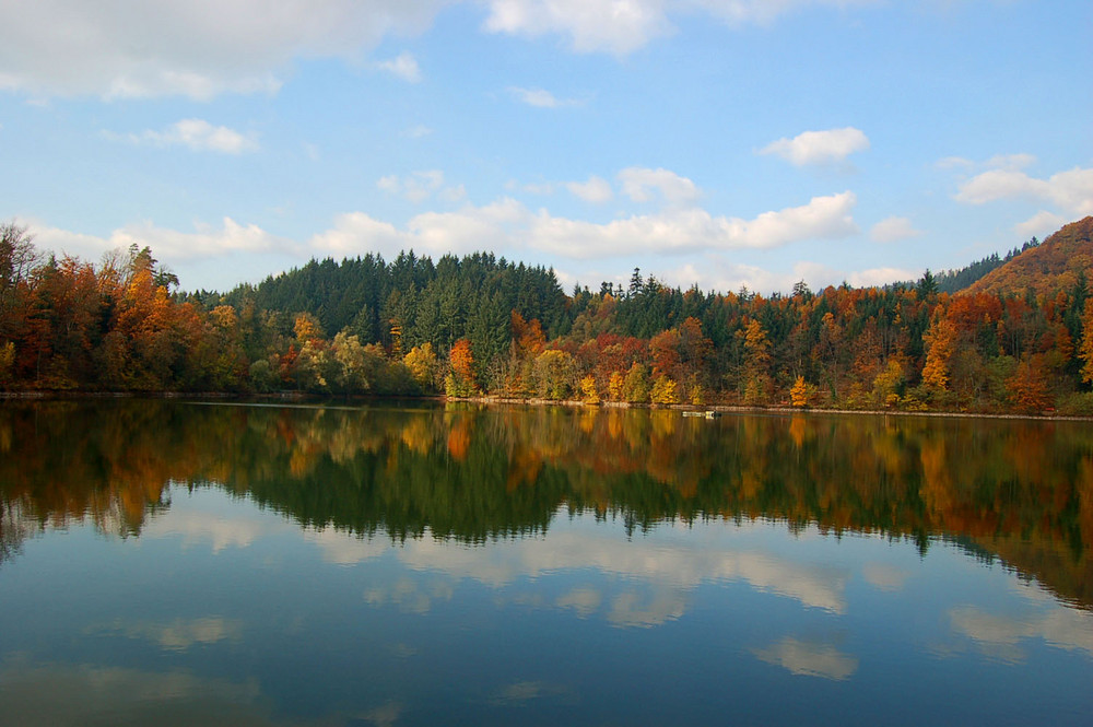 Spiegelungen