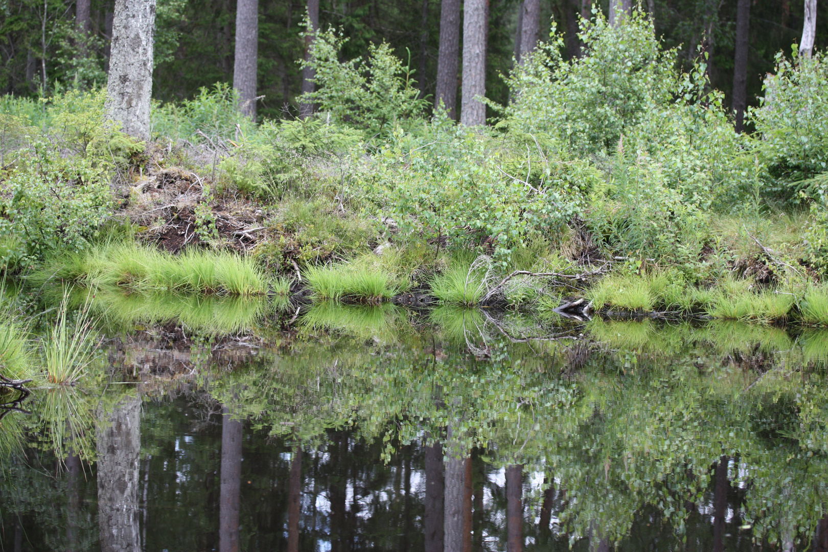 Spiegelungen