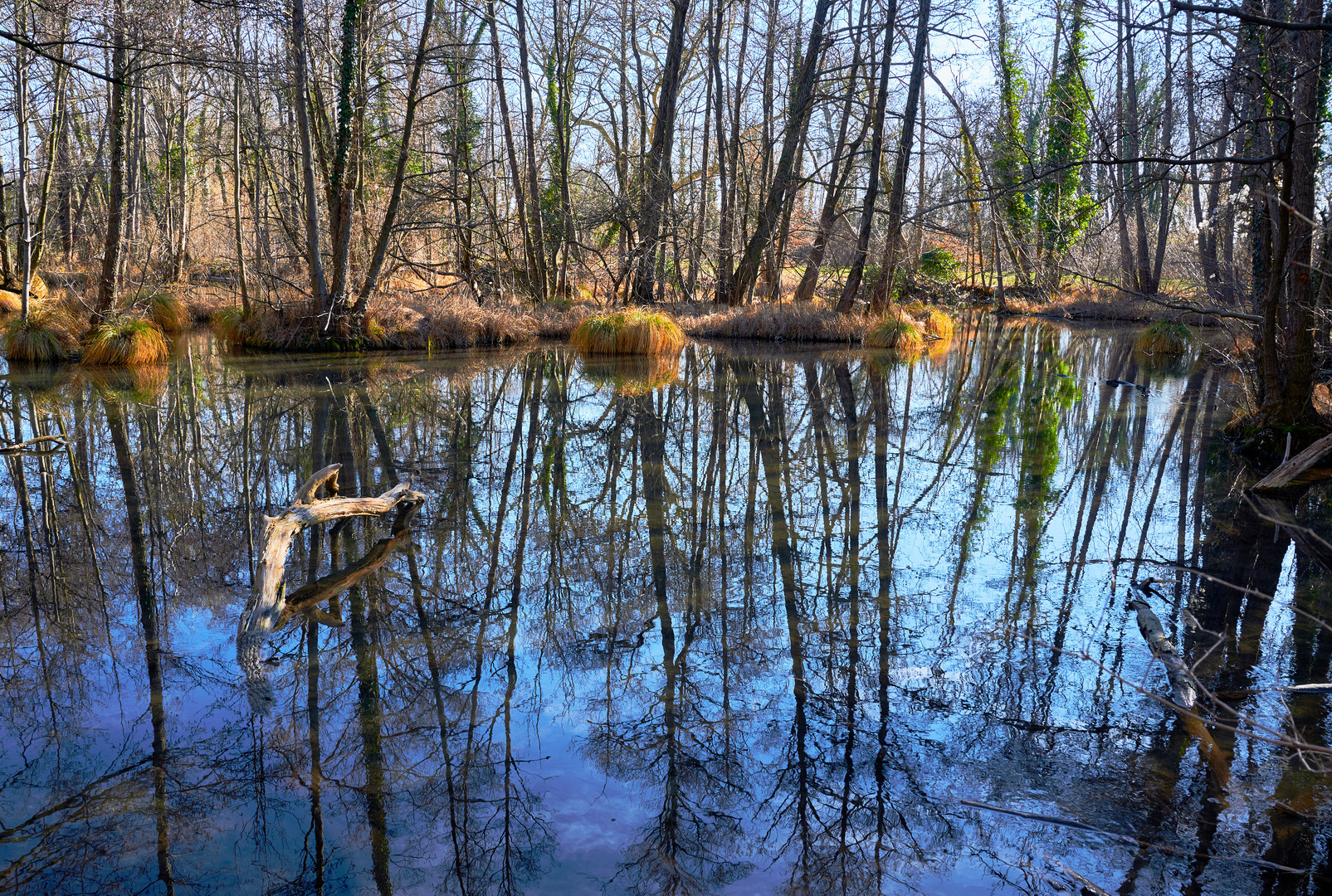 Spiegelungen