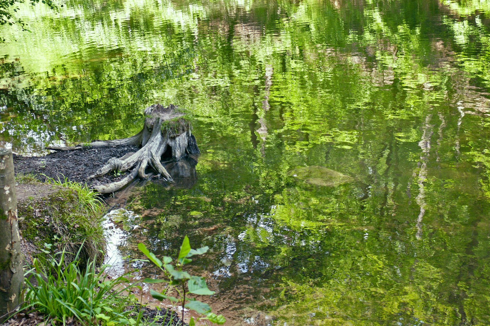 Spiegelungen