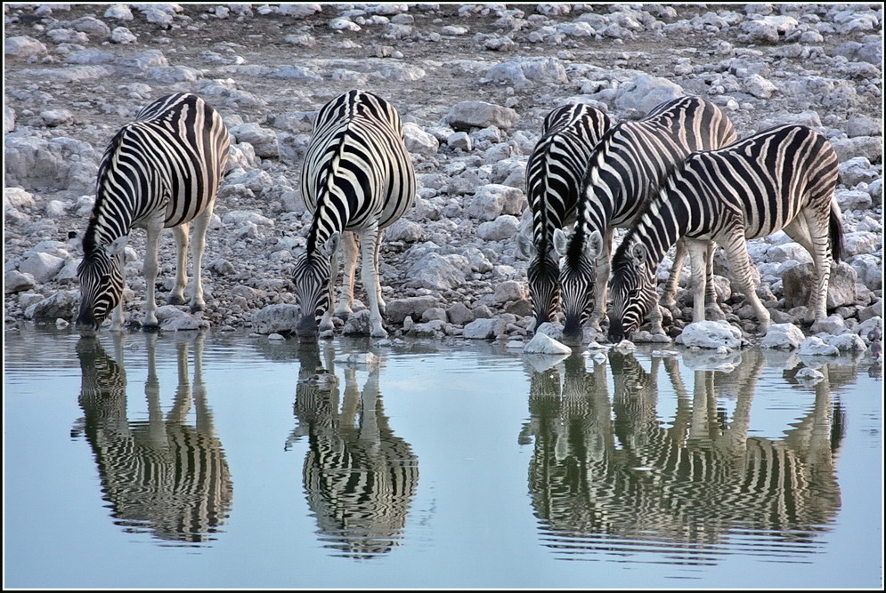 Spiegelungen