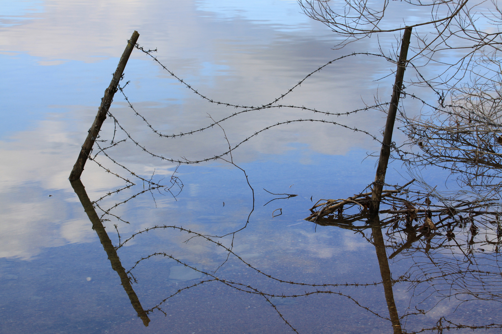 Spiegelungen