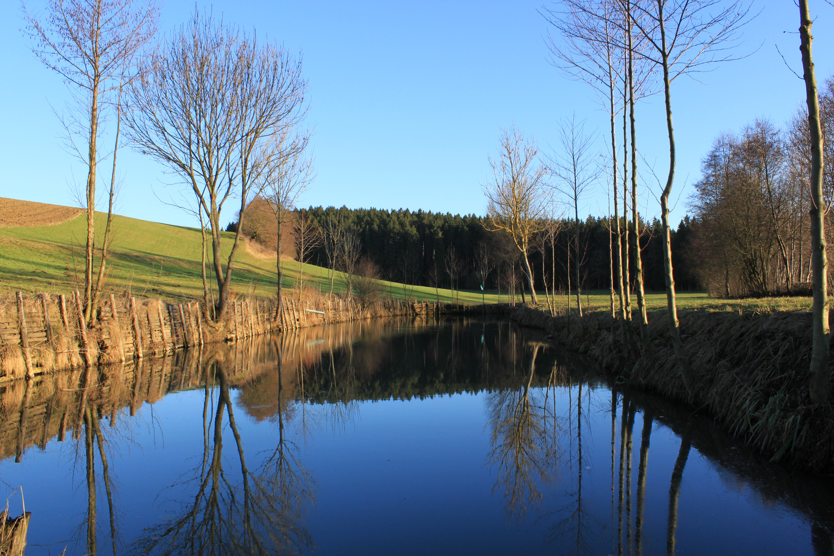 Spiegelungen