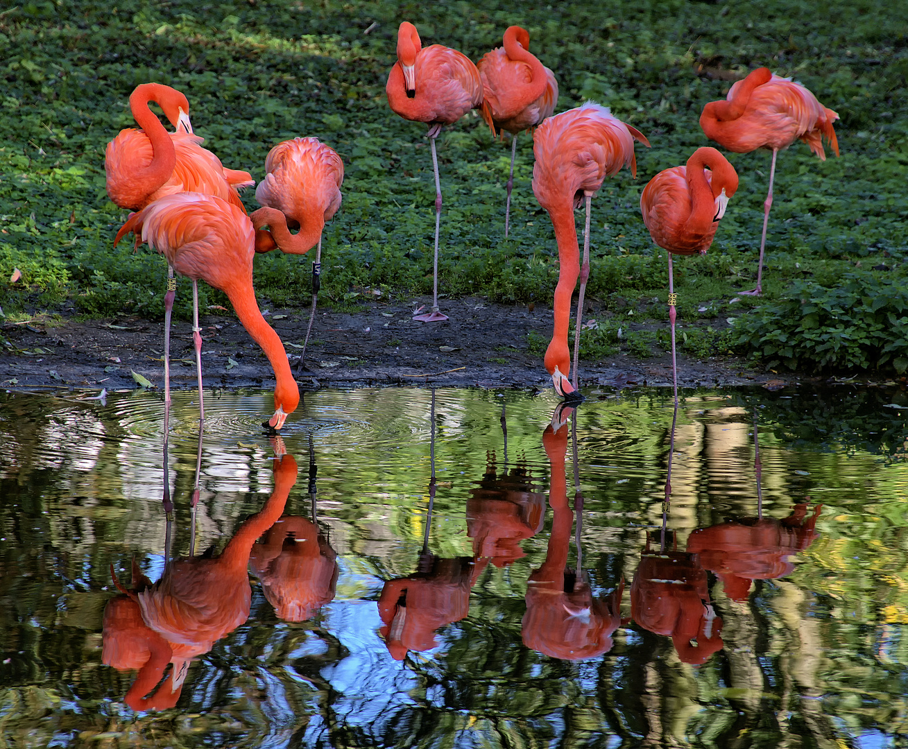 Spiegelungen 