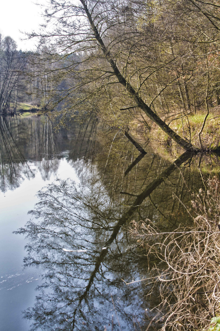 Spiegelungen