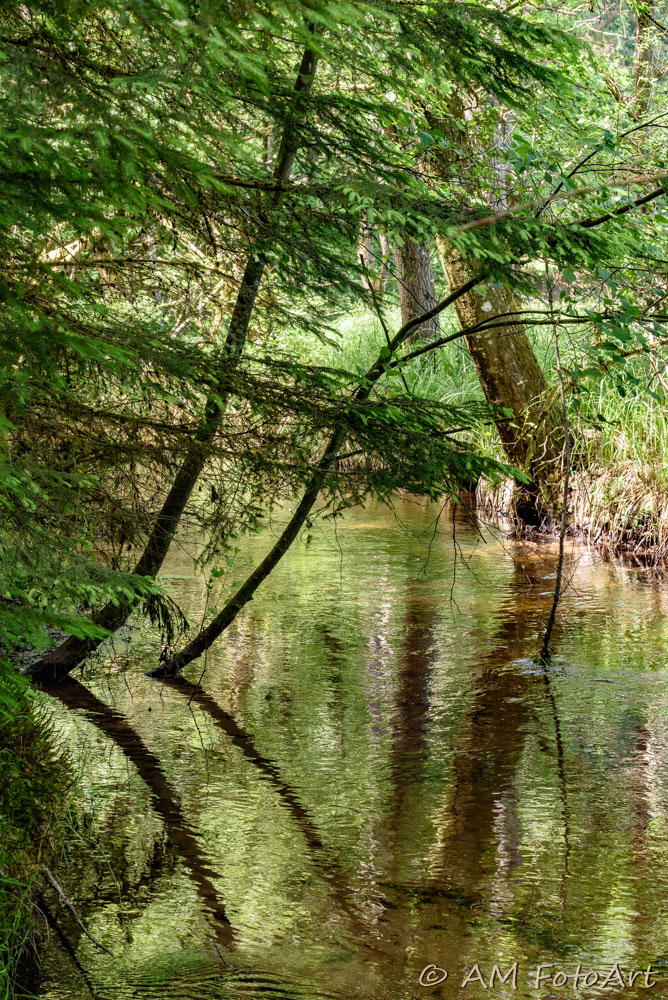 Spiegelungen