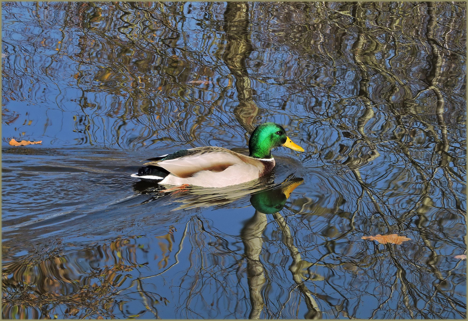  Spiegelungen