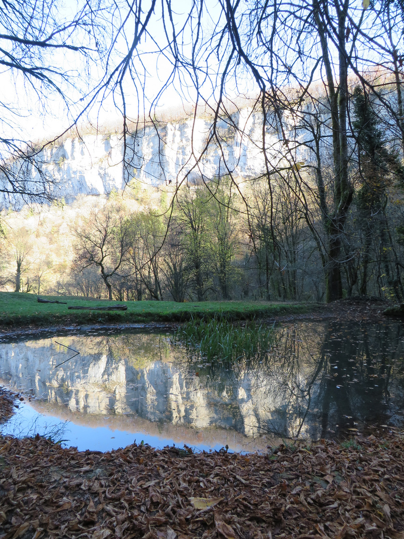 Spiegelungen 