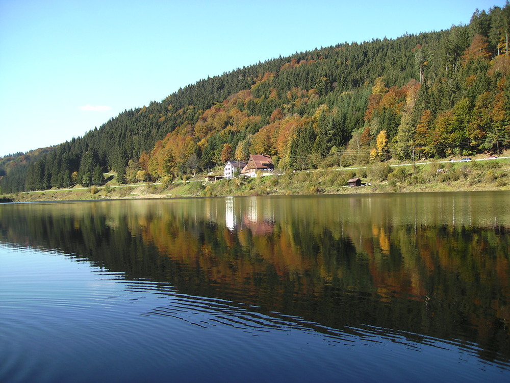 Spiegelungen