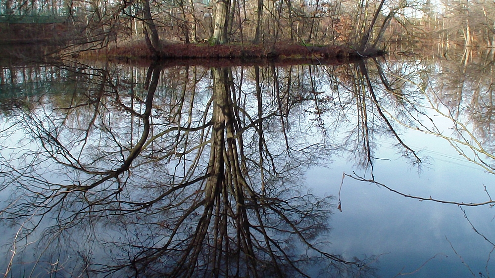 Spiegelungen