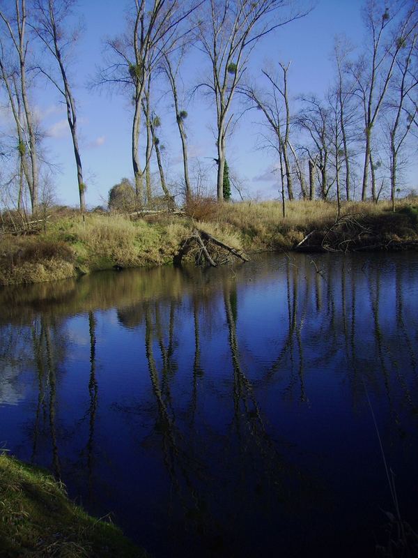 Spiegelungen