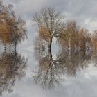 Landschaft