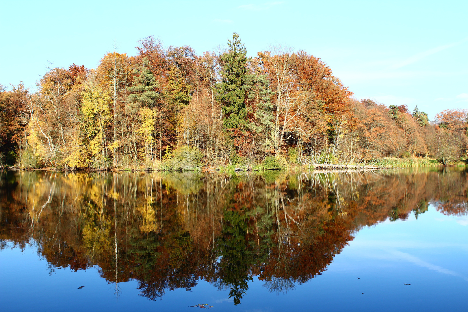 Spiegelungen