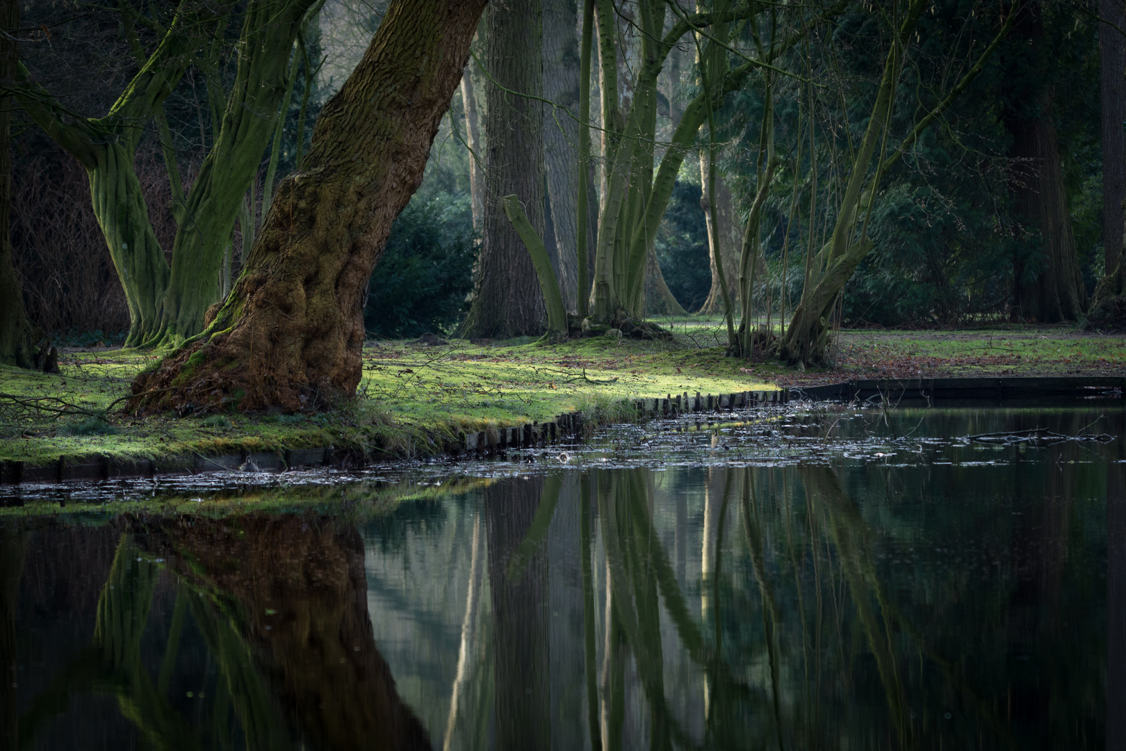 Spiegelungen