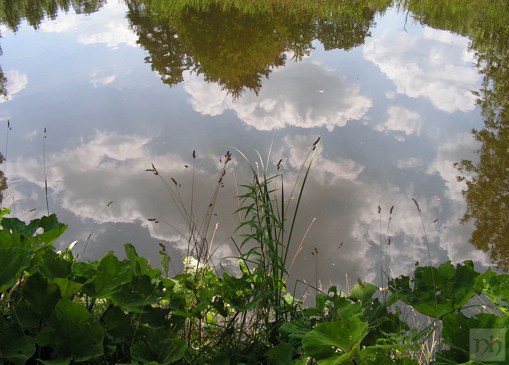 Spiegelungen