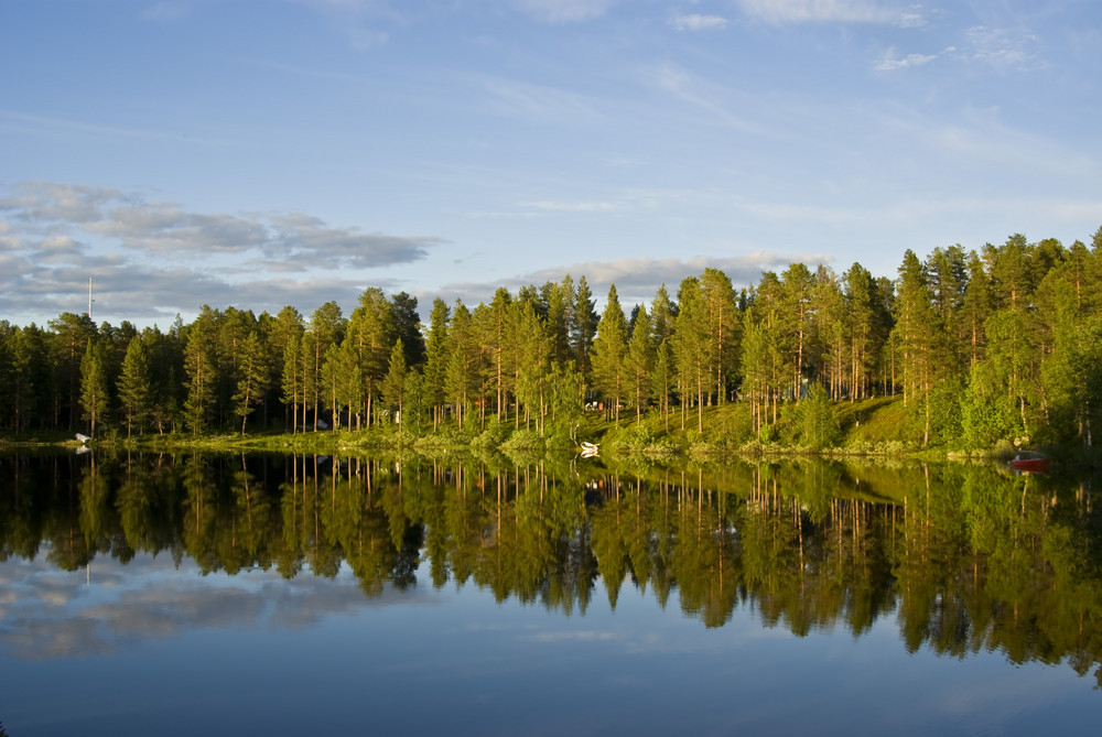 Spiegelungen