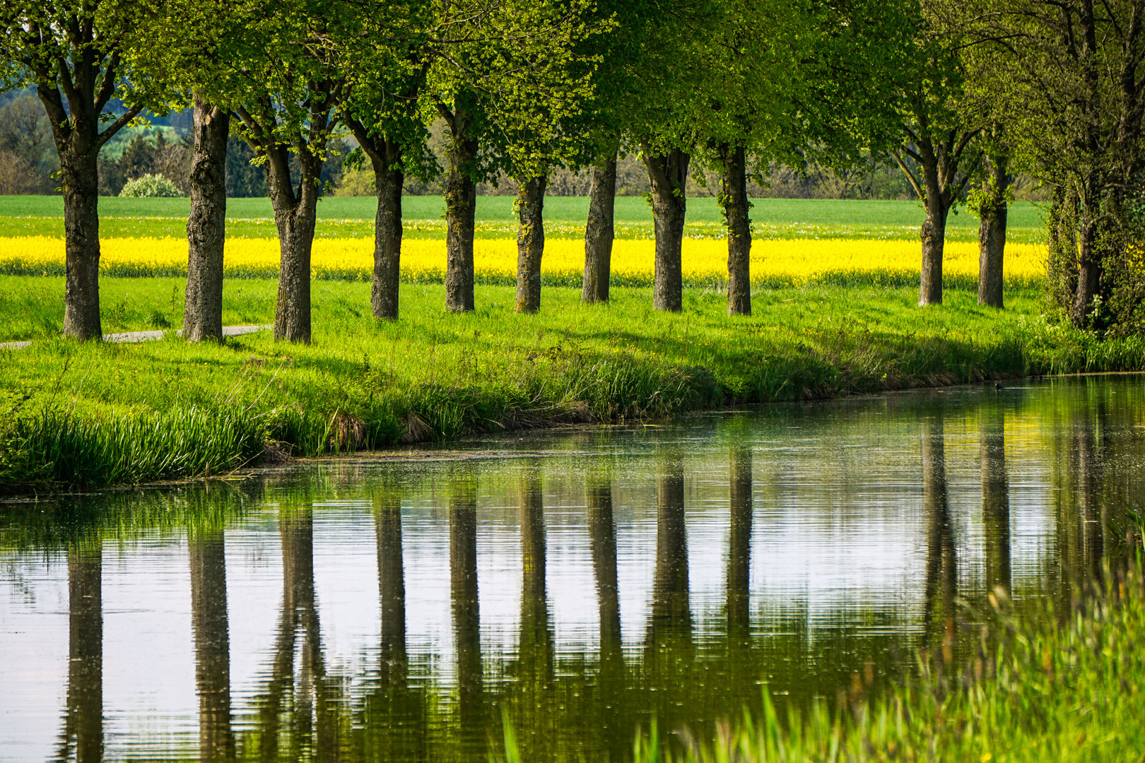 Spiegelungen am Alten Kanal