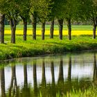 Spiegelungen am Alten Kanal