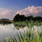 Spiegelungen am Alten Teich