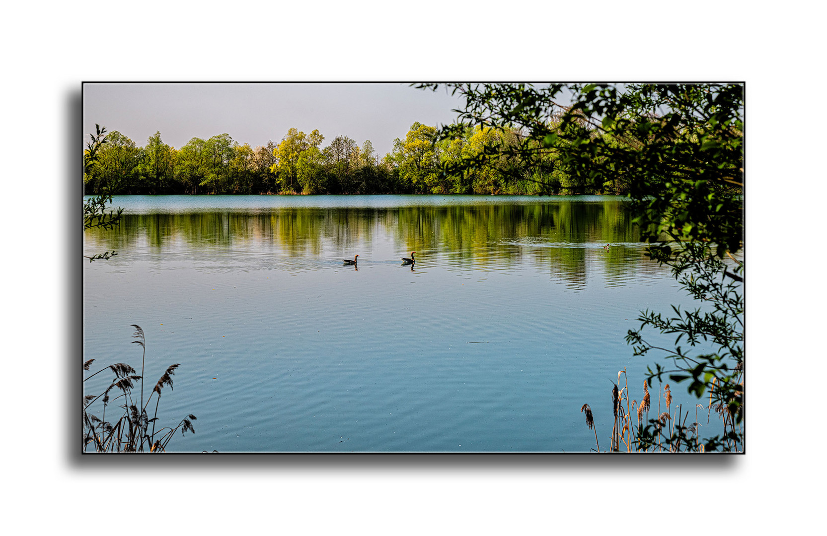 Spiegelungen am Baggersee