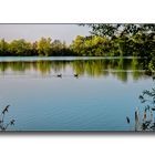 Spiegelungen am Baggersee