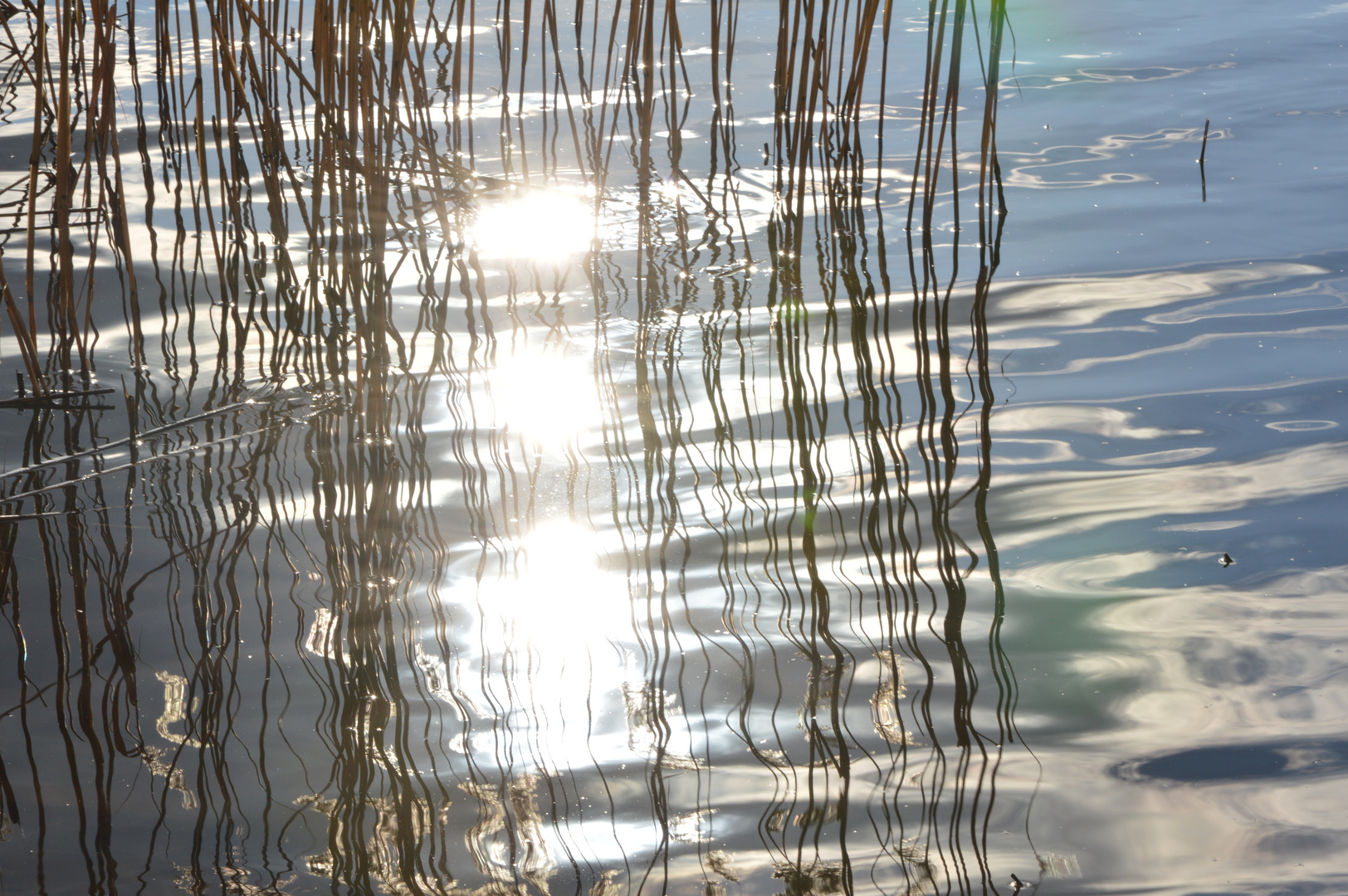 Spiegelungen am Baggersee