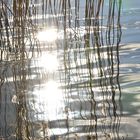 Spiegelungen am Baggersee