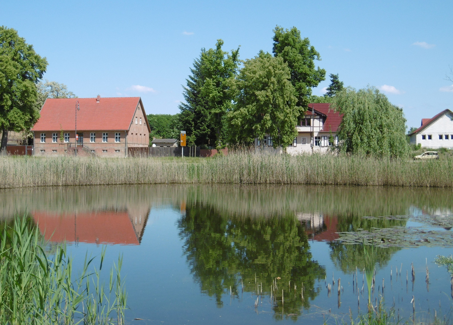 Spiegelungen am Dorfanger...