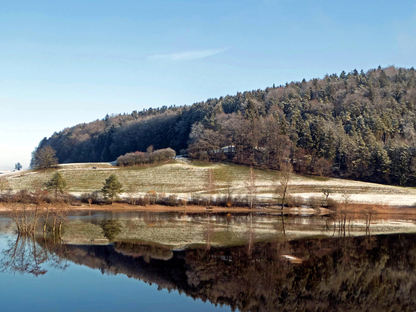 Spiegelungen am Egelsee an einem wunderschönen Wintertag