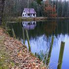 Spiegelungen am Fischteich 