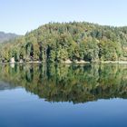 Spiegelungen am Hechtsee