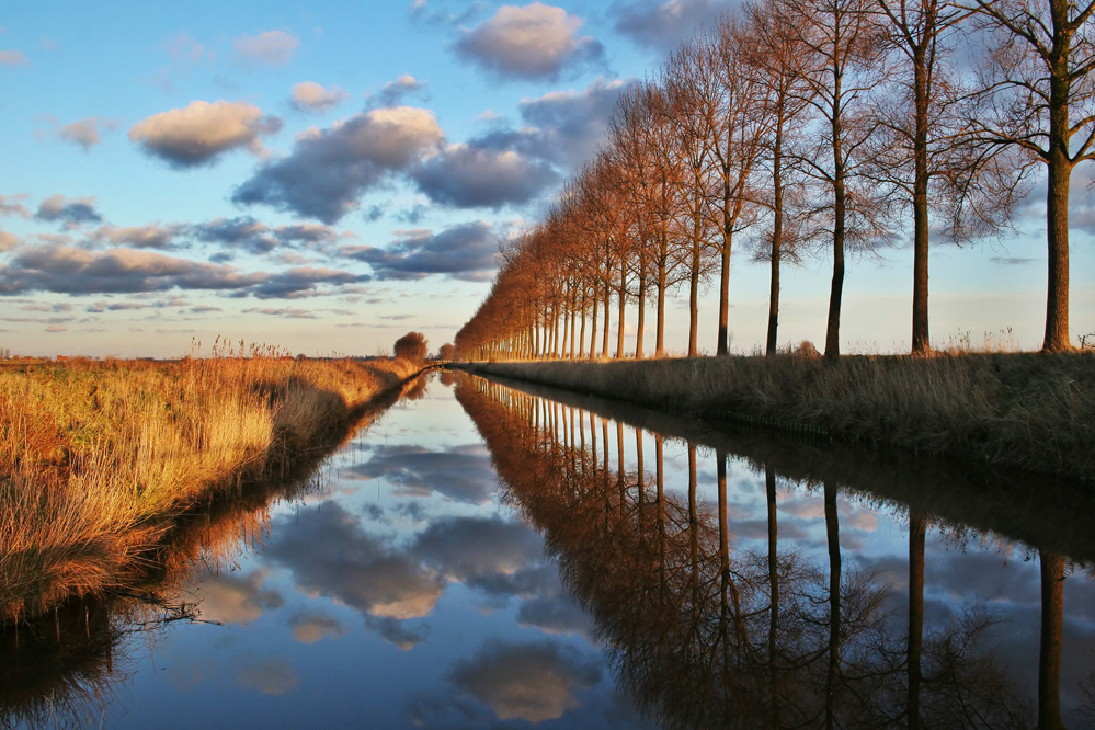 Spiegelungen am Kanal