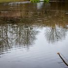 Spiegelungen am Kreuzbergsee