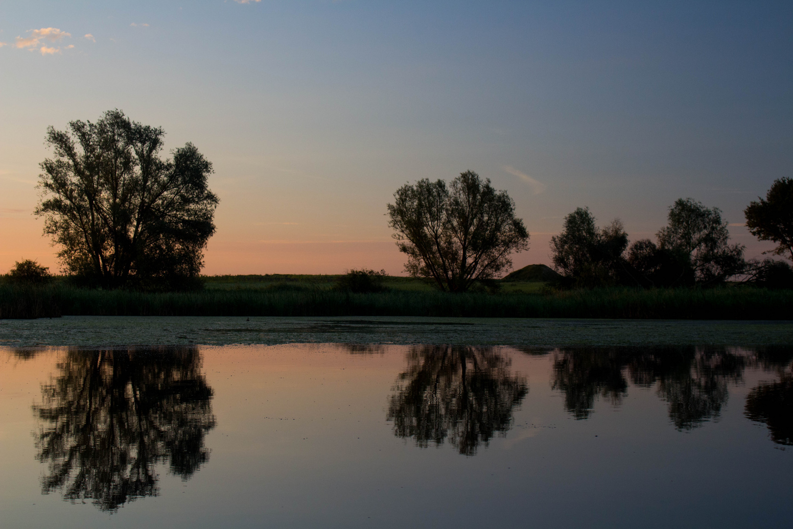 Spiegelungen am Ladeburger Stausee 02