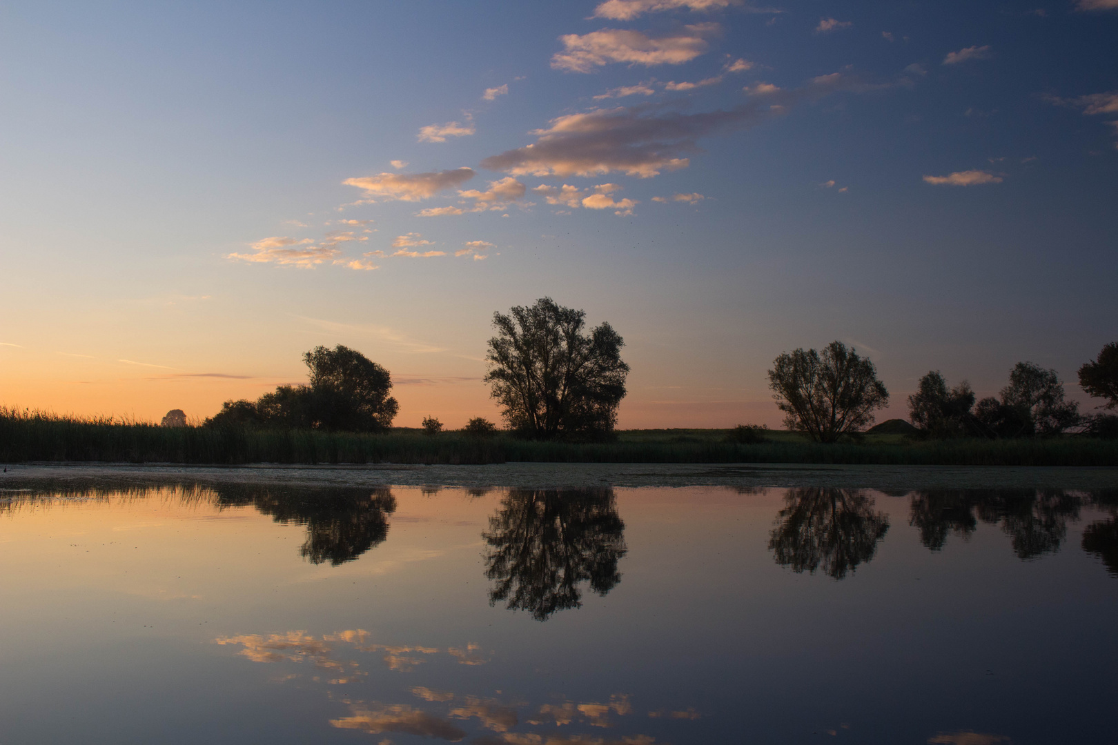 Spiegelungen am Ladeburger Stausee 03