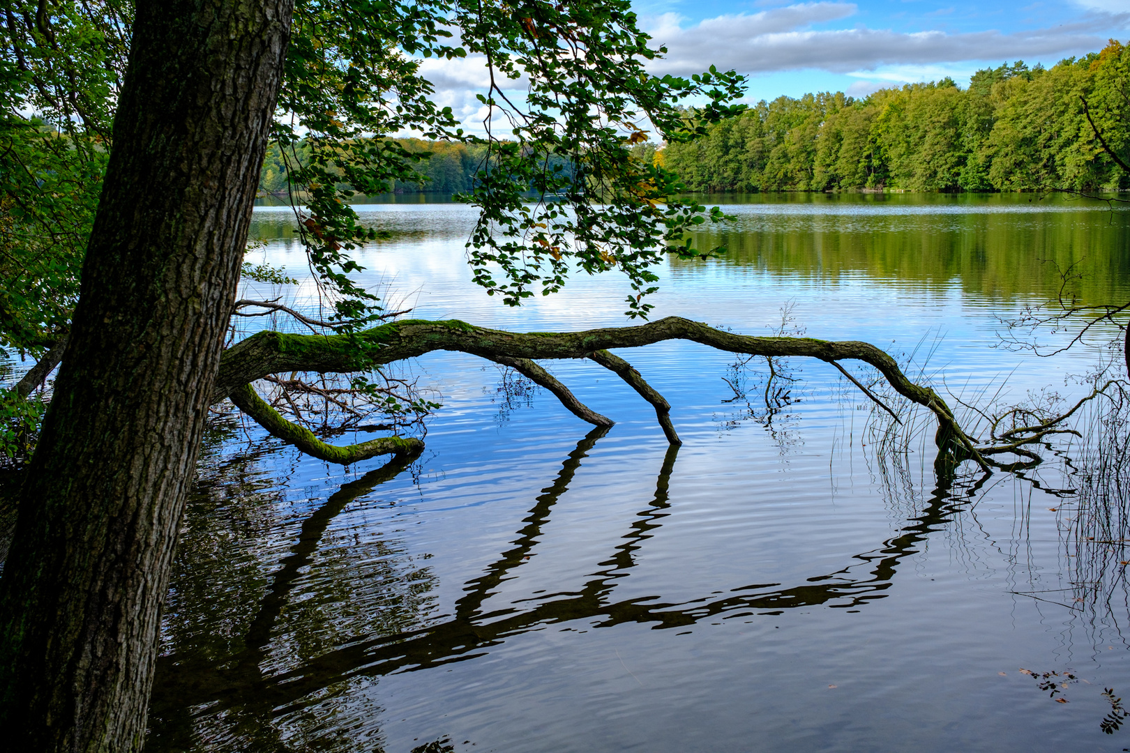 Spiegelungen am Liepnitzsee