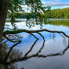 Spiegelungen am Liepnitzsee