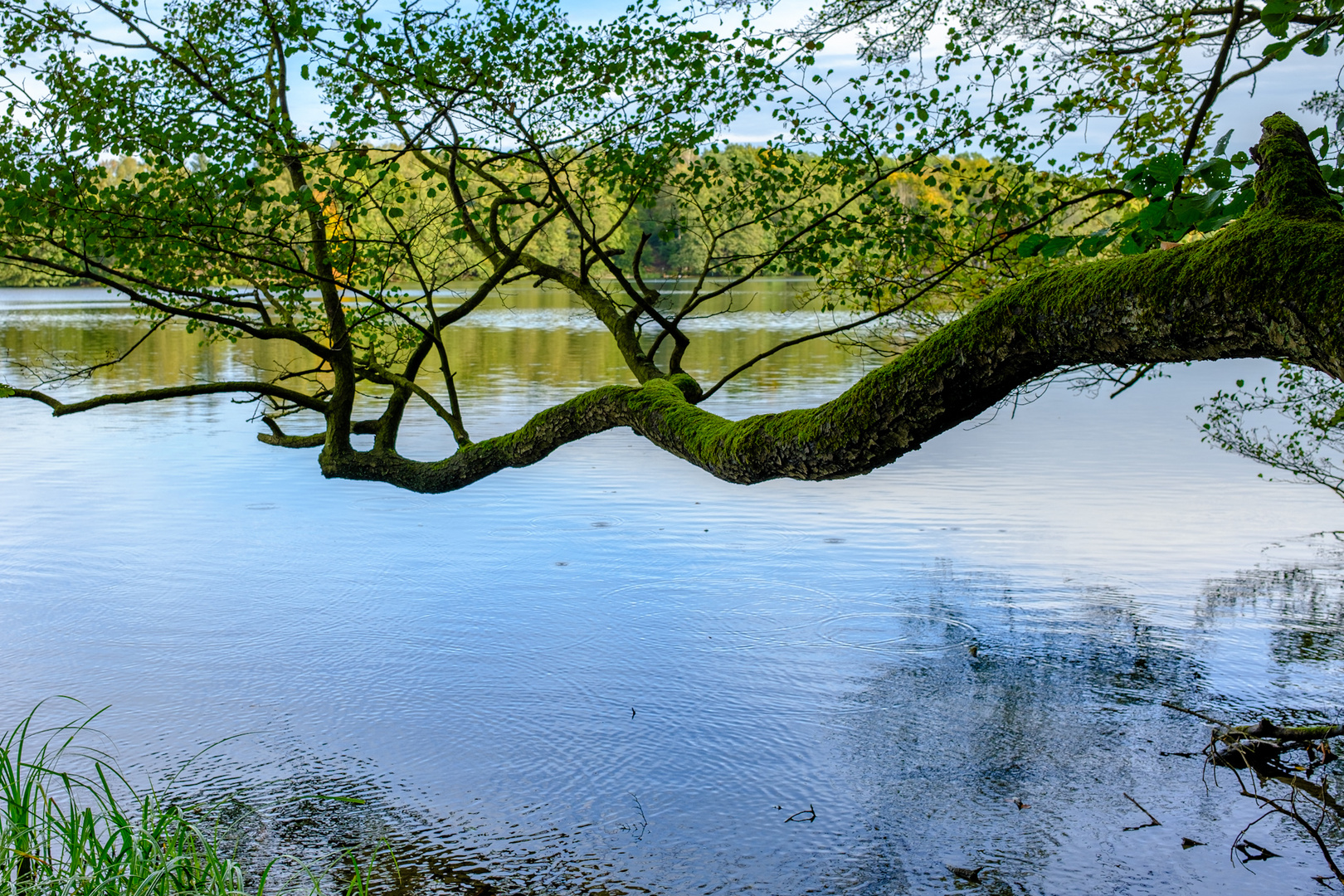 Spiegelungen am Liepnitzsee