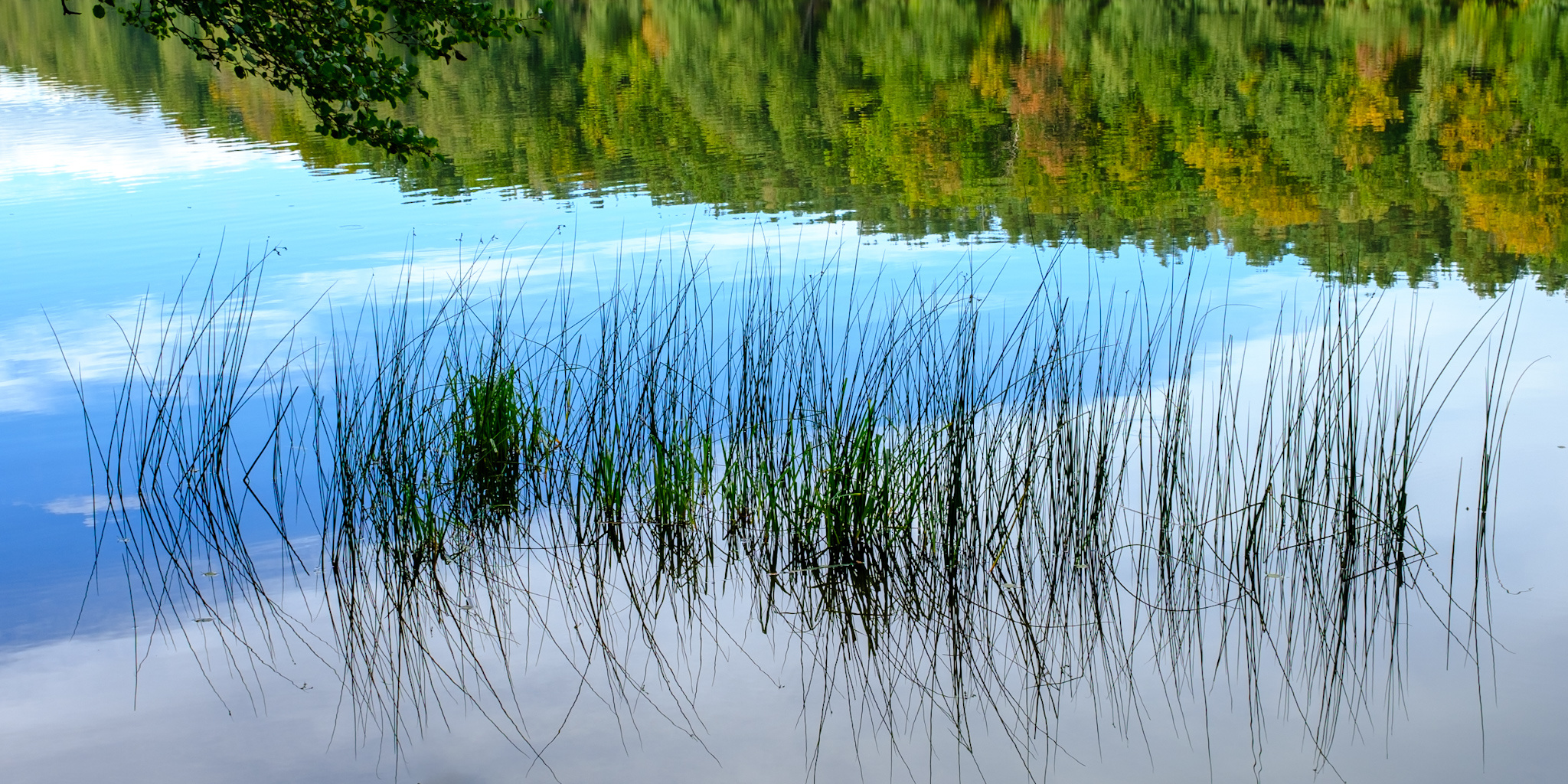 Spiegelungen am Liepnitzsee