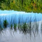 Spiegelungen am Liepnitzsee