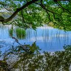 Spiegelungen am Liepnitzsee