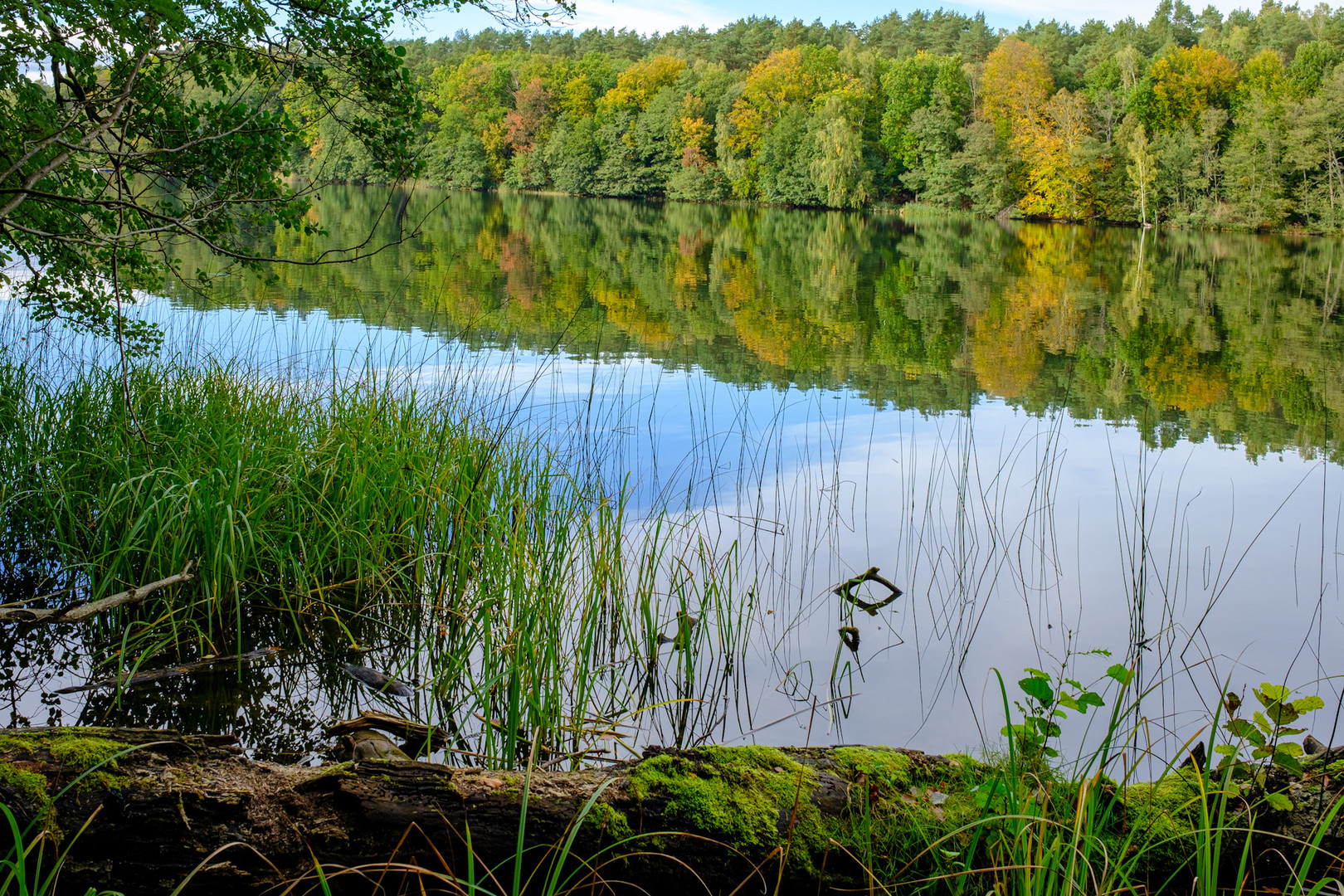 Spiegelungen am Liepnitzsee