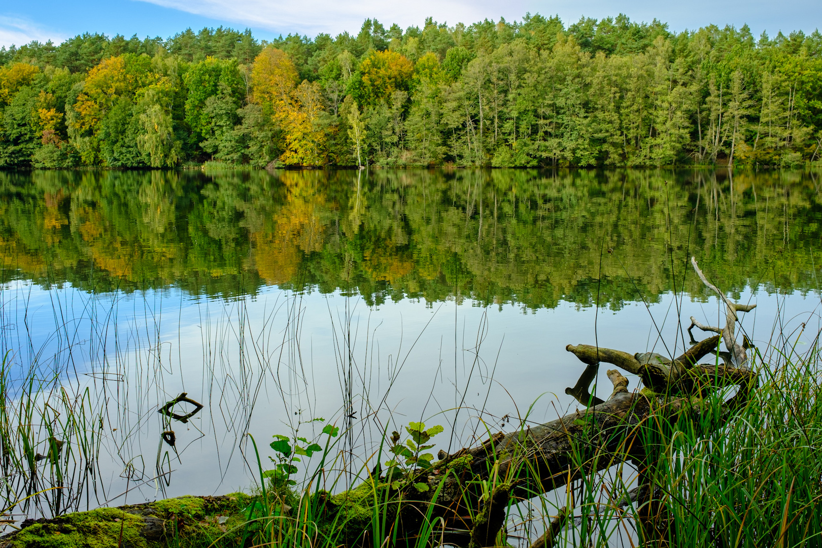 Spiegelungen am Liepnitzsee