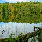 Spiegelungen am Liepnitzsee