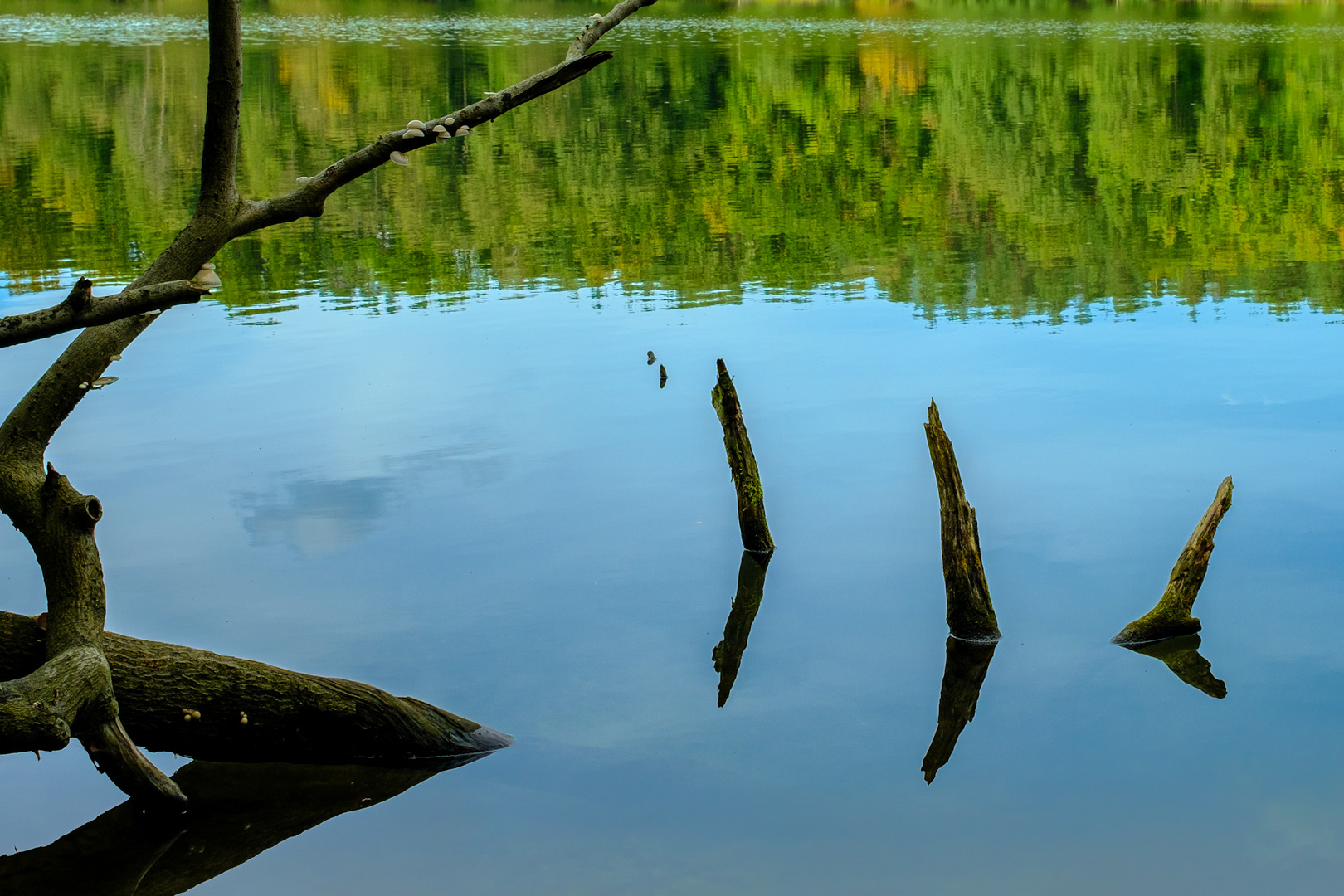 Spiegelungen am Liepnitzsee