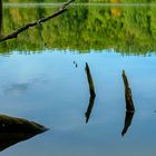 Spiegelungen am Liepnitzsee