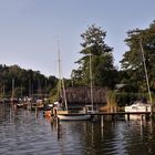 Spiegelungen am Plöner See