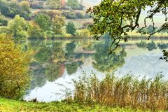 Spiegelungen am Schalkenmehrener Maar