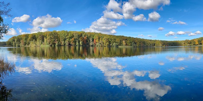 Spiegelungen am Schlachtensee